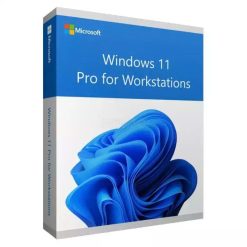 win 11 workstation