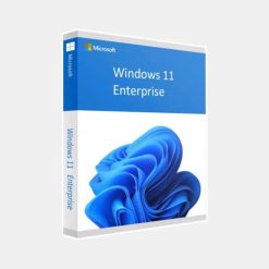 key win 11 enterprise